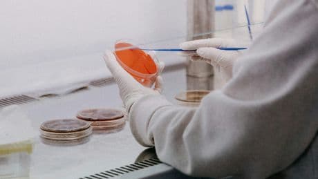 Gut Health Discovery Could Help Future Parkinson's Diagnoses