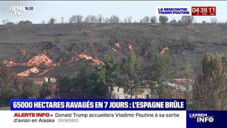 65.000 hectares ravagés en 7 jours: l'Espagne en proie à de violents incendies