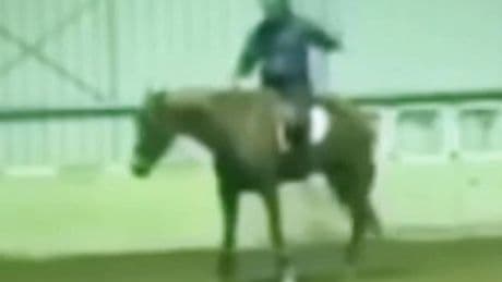 Suspenden a un jinete olímpico por azotar más de 40 veces a su caballo con un látigo... para no matarlo