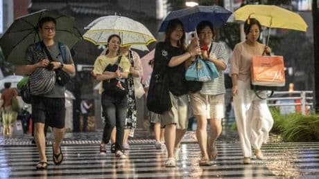 De l’acétamipride détecté pour la première fois dans l’eau de pluie au Japon