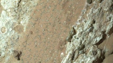 Mars: Nasa-Roboter »Perseverance« könnte Spuren von früherem Leben gefunden haben