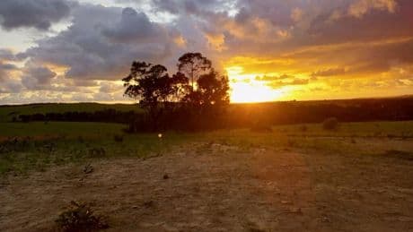 Congo-Brazzaville: des ONG dénoncent un projet pétrolier dans le parc national de Conkouati-Douli