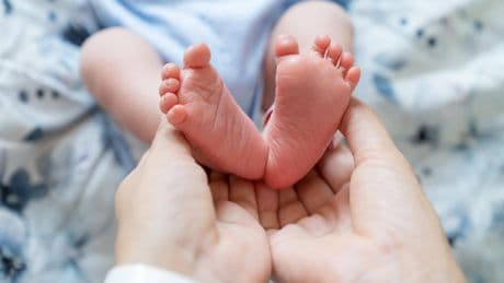 Dix ans de Laudato si’ : Ils réconcilient désir d’enfant et écologie, comme signe de confiance en l’avenir