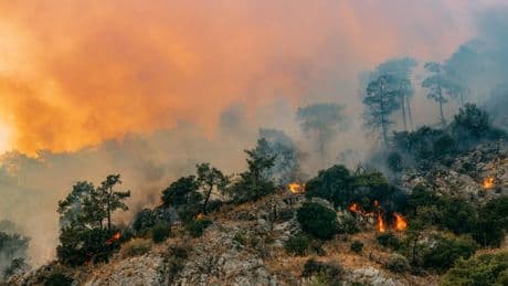 How do wildfires start as Turkey evacuates 50,000 people during monster blaze