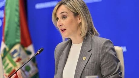 El Gobierno vasco reduce la crisis PNV-PSE a una «cuestión de partidos» mientras la oposición hurga en la herida