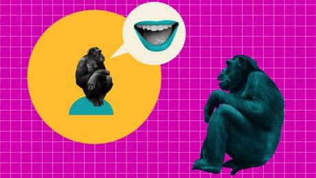 Is AI really plotting against us?