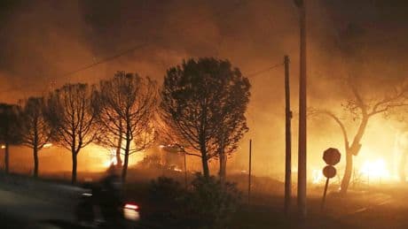 Ten guilty over Athens wildfire that killed 104 people as ‘lenient’ sentences spark outrage