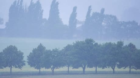 Warnung für MV - Niederschlag auf Ahrtal-Niveau möglich