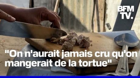 Gaza : les convois humanitaires sont bloqués, des Palestiniens affamés se nourrissent de viande de tortue