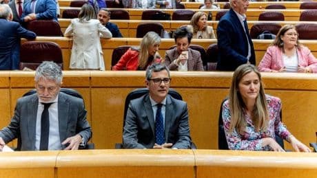 El PP ataca por el apagón en el Senado a Marlaska, que se libra de responder por las balas israelíes