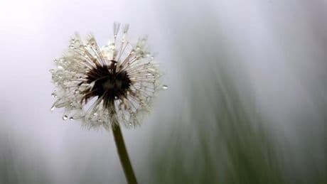 Wetter an Ostern: Wetterdienst prognostiziert Starkregen und Gewitter an Ostersonntag