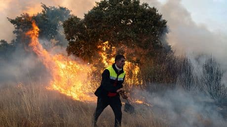 España está viviendo la semana más negra de incendios del siglo: arden 98.798 hectáreas