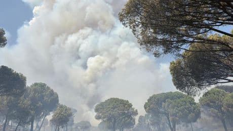 El terror del fuego vuelve a Ávila: declarado el nivel 2 en un incendio en San Bartolomé de Pinares