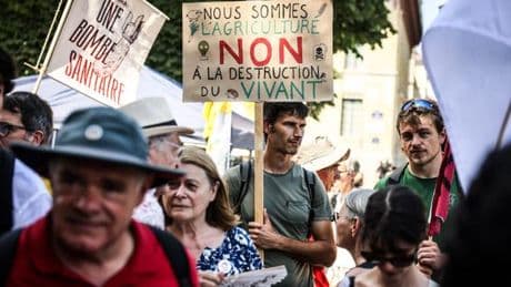 En direct, loi Duplomb, posez vos questions : « Réautoriser l’acétamipride, c’est ouvrir la boîte de Pandore. D’autres néonicotinoïdes pourraient faire leur retour sur le marché »