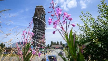 Harzturm: 65 Meter hoch, Skywalk, Rutsche | Ausflugstipp in Niedersachsen
