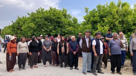Mersin’de köylüler ağaç kesimini durdurdu