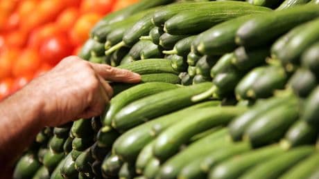 Cucumber Recall Spreads: Target, Others Pull Items Over Salmonella Outbreak