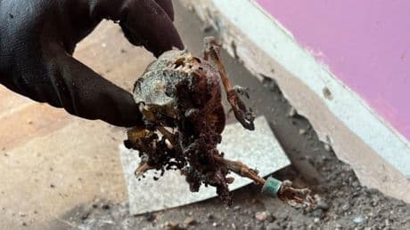 Couple renovating their 1850s home make a chilling discovery