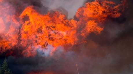 We Are Living in the Age of Fire. And It’s Only Going To Get Worse