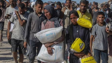 Offener Brief an Merz: Mehr als 160 weitere Promis fordern Waffenstopp für Israel