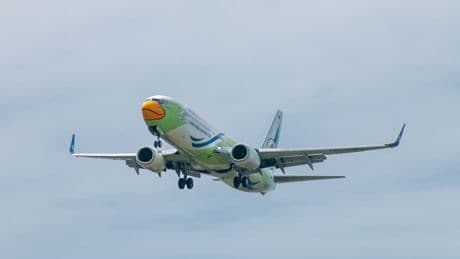 Thailand airline forced to suspend international flights over safety concerns