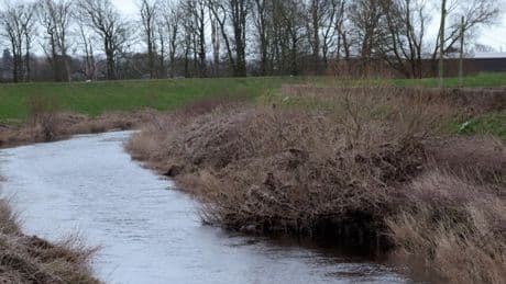 Teenage boy dies after getting into difficulty in River Wyre, Lancashire