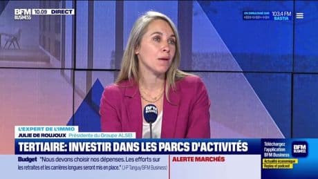 Les Experts de l'immo : Tertiaire, investir dans les parcs d'activités - 19/06
