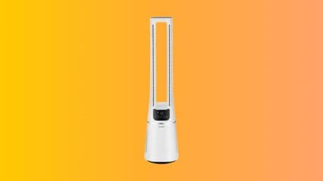 Le purificateur d’air Valberg souffle un vent de fraîcheur sur son prix, dites adieu aux allergies au pollen