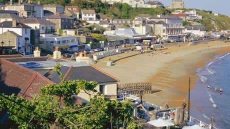 Helicopter crashes on Isle of Wight as emergency services rush to scene
