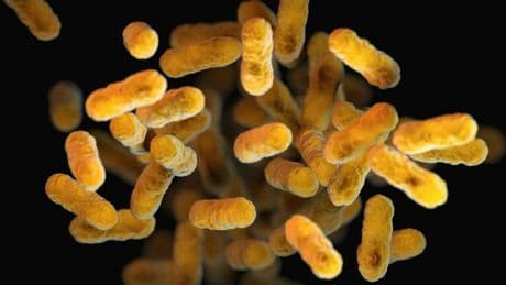 Une bactérie mortelle se nourrit de plastique médical: une découverte alarmante pour les hôpitaux