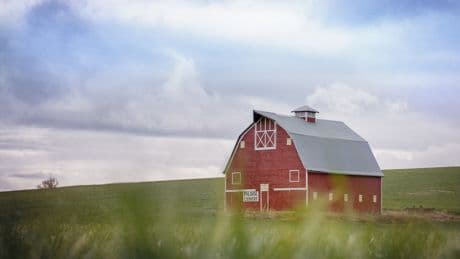 A quarter of America’s “farms” aren’t really farms