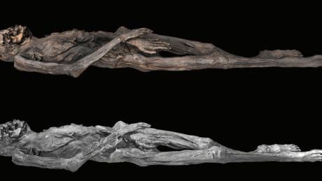 Tatuajes de hace 2.300 años en Siberia revelan que los artesanos eran tan hábiles como los actuales