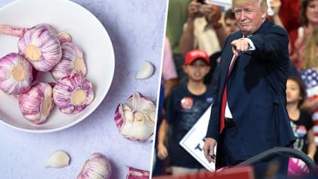 El ajo, las almendras y la conserva española soñaban con conquistar EEUU. Ahora comparten la pesadilla de sus aranceles