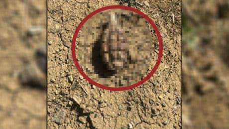 104 yıl sonra bulundu! Sakarya Meydan Muharebesi'nden kaldığı tahmin ediliyor