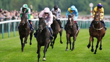 Newsboy’s horseracing tips for Thursday’s five meetings, including Haydock Nap