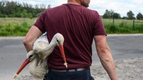 En Ukraine, le travail du photographe Guillaume Herbaut : « Lorsqu’un conflit se prolonge, il devient nécessaire de renouveler le regard »