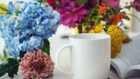Gardeners warned not to use 'cheap drink' on hydrangeas and roses