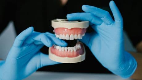 Adieu prothèses et implants: on pourra (peut-être) bientôt faire repousser nos dents