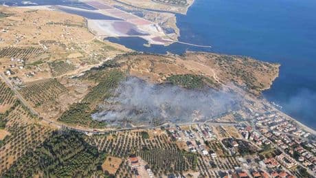 İzmir Dikili'de orman yangını! Müdahale sürüyor