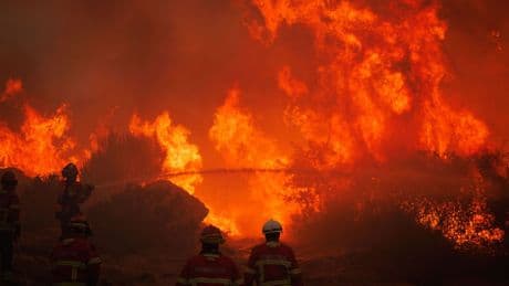 "Las tierras están abandonadas": por qué Portugal no es capaz de controlar sus incendios