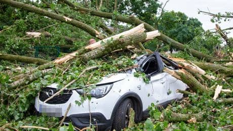Unwetter über Krefeld: Feuerwehr im Dauereinsatz, Zoo bleibt geschlossen