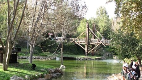 Zoo worker mauled to death by tiger after it escaped during behind-the-scenes tour