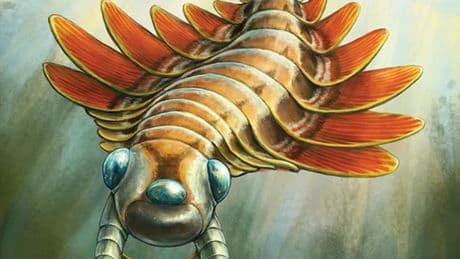 Paleontologists discover a 500-million-year-old, 3-eyed predator