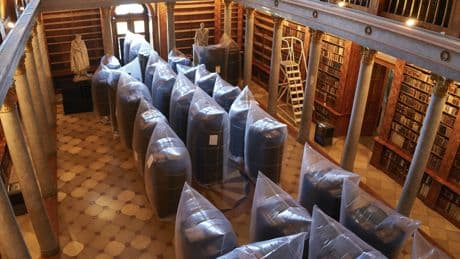 Hungary's oldest library is fighting to save 100,000 books from a beetle infestation