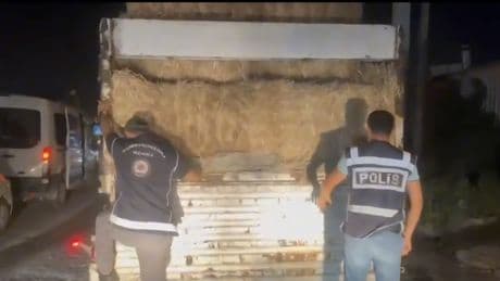 Hatay'da TIR dorsesinde 31 kaçak göçmen yakalandı
