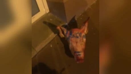 Têtes de porc décapitées devant des mosquées: les suspects sont "de nationalité étrangère" et ont "aussitôt quitté le territoire"