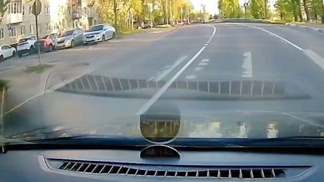 Am Fußgängerüberweg - Autofahrer wartet auf stacheligen Verkehrsteilnehmer