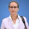 Wahl neuer Verfassungsrichter: Mehrheit der Deutschen unterstützt Kandidatur von Brosius-Gersdorf weiter