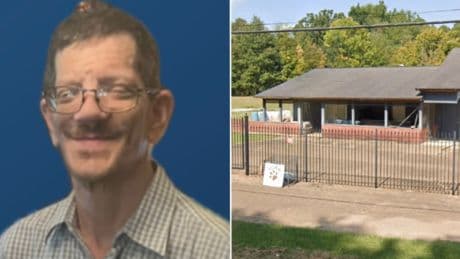 Shelter worker is mauled to death by two dogs rescued from abuse and fighting ring