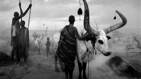 « Un chasseur de lumières dans un monde de ténèbres »: Sebastião Salgado commente ses images iconiques